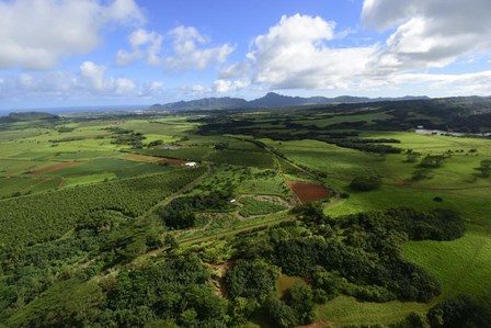 Wailua River State Park, Kauai, Hawaii by Ryan Rossotto/Stocktrek Images art print