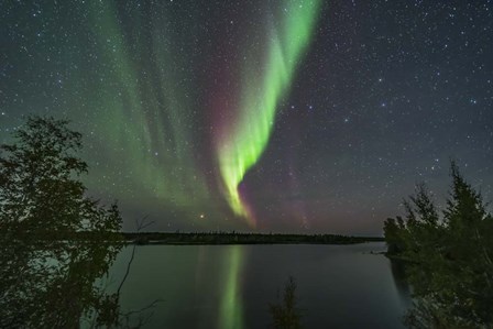 Aurora and Big Dipper Over Tibbitt Lake Near Yellowknife by Alan Dyer/Stocktrek Images art print