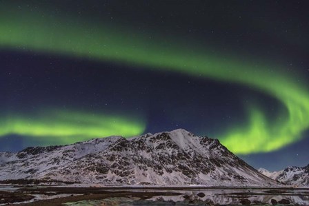 Northern Lights Over Stamsund Fjord, Norway by Giulio Ercolani/Stocktrek Images art print