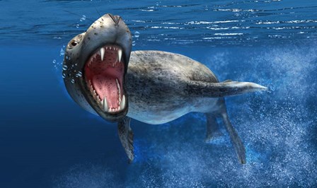 Leopard Seal Swimming Underwater by Leonello Calvetti/Stocktrek Images art print