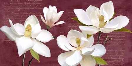 Burgundy Magnolia by Luca Villa art print