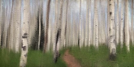 Path through the Aspens by Kimberly Allen art print