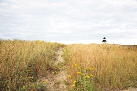 Nantucket lighthouse by Aledanda art print