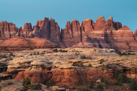 The Needles Canyonlands National Park by Alan Majchrowicz art print