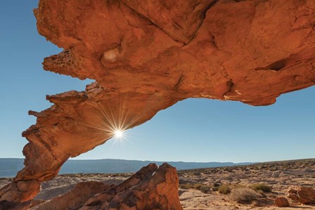 Sunset Arch Grand Staircase Escalante National Monument by Alan Majchrowicz art print