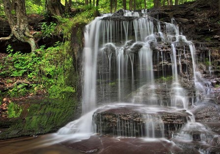 Gunn Brooks Falls by Patrick Zephyr art print