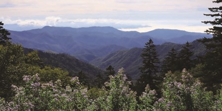 Scenic Mountain View by Lori Deiter art print