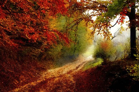 Autumn Forest Edge by Denise Dundon art print