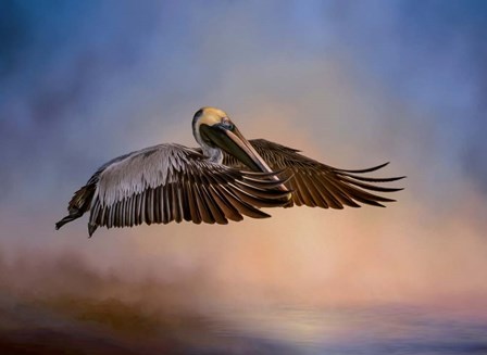 Graceful Glider by Kelley Parker art print