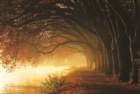 Autumn Sunrise by Martin Podt art print