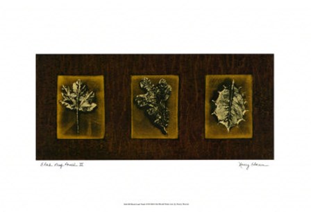 Block Leaf Panel II by Nancy Slocum art print