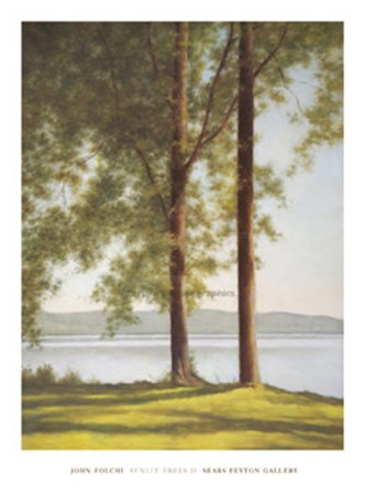 Sunlit Trees II by John Folchi art print