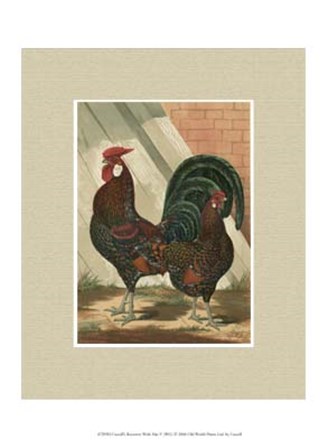Cassell&#39;s Roosters with Mat V by Cassell art print