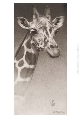 Jean, the Giraffe by Robert L. Caldwell art print