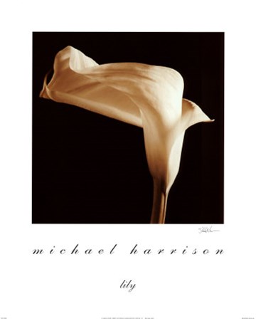 Lily by Michael Harrison art print