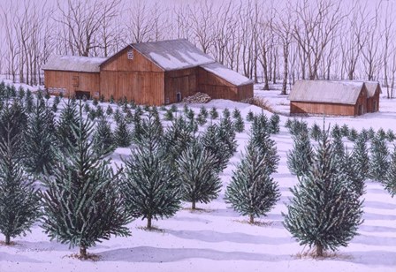 Xmas Tree Farm by Dan Campanelli art print
