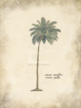 Cocoa Palm by Annabel Hewitt art print