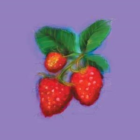 Raspberries by Anthony Morrow art print