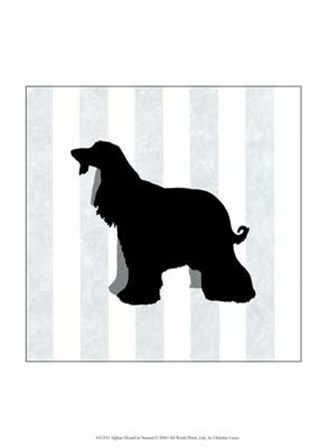 Afghan Hound In Neutral by Lucas Lucas art print