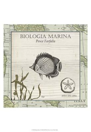 Biologia Marina I art print