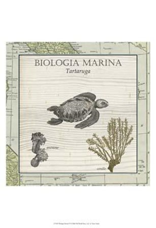 Biologia Marina IV art print