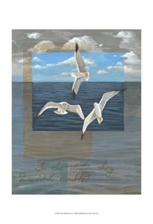 Three White Gulls II by Tara Friel art print