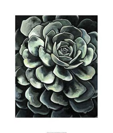 Lunar Succulent II by Megan Meagher art print