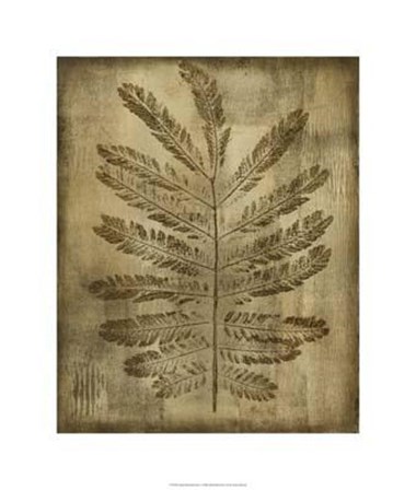 Sepia Drenched Fern I by Nancy Slocum art print