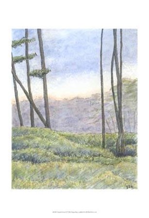 Tranquil Horizon II by Virginia a. Roper art print