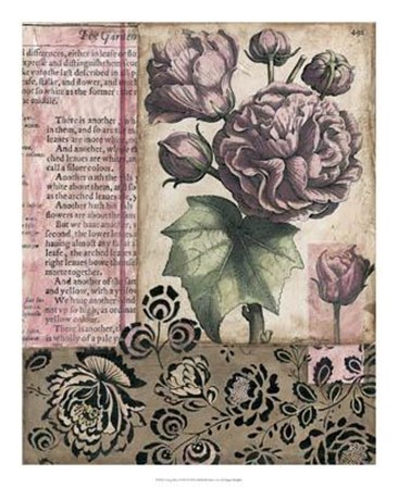 Cottage Rose II by Megan Meagher art print