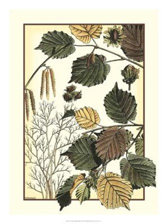 Arts And Crafts Hazelnut by M. P. Verneuil art print