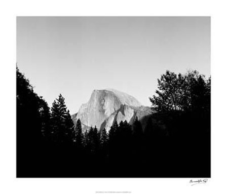 Half Dome In Trees by Tucker Smith art print