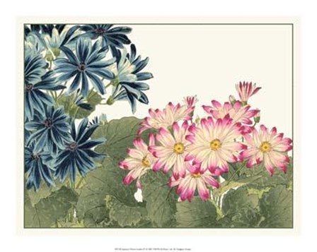 Japanese Flower Garden IV by Konan Tanigami art print