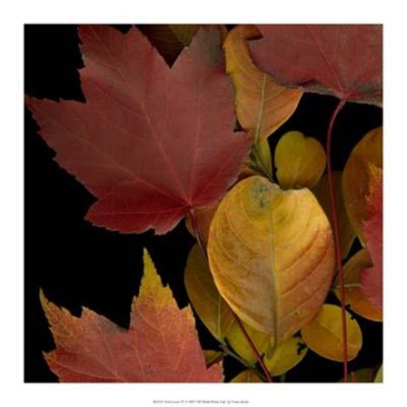 Vivid Leaves IV art print