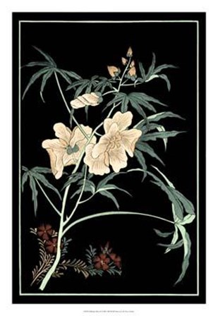 Midnight Floral II art print