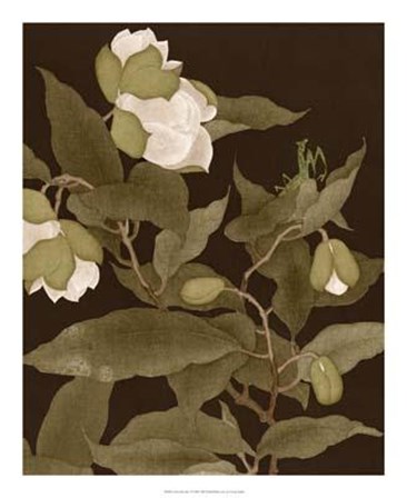 Asian Brocade I art print