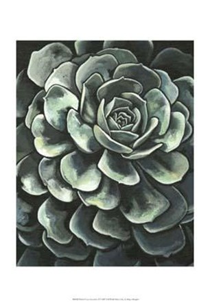 Printed Lunar Succulent II by Megan Meagher art print