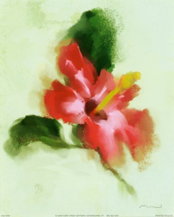 Hibiscus by Anthony Morrow art print