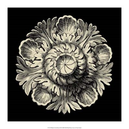 Black and Tan Rosette III by Vision Studio art print