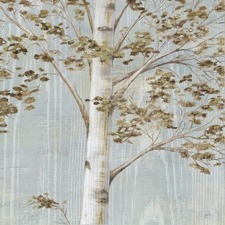 Birch Study II by Daphne Brissonnet art print