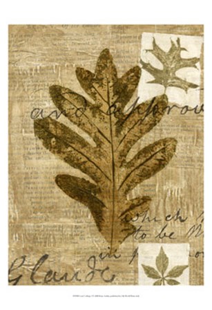 Leaf Collage I by Kate Archie art print