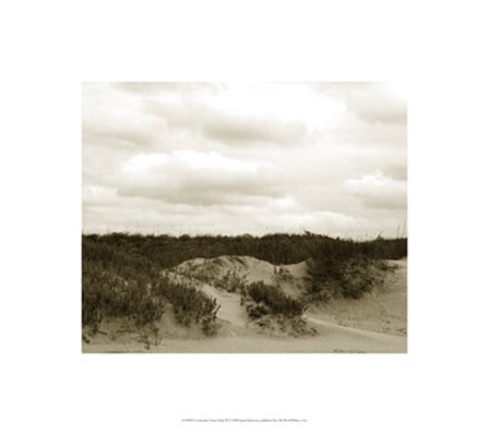 Ocracoke Dune Study II by Jason Johnson art print