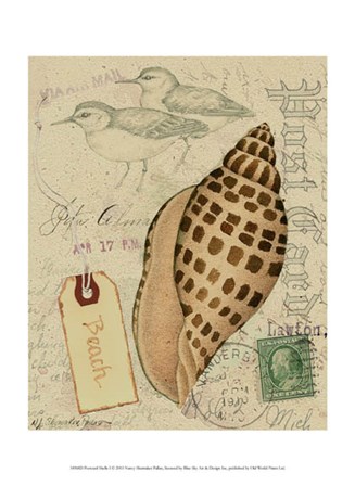 Postcard Shells I by Nancy Shumaker art print
