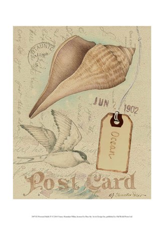 Postcard Shells IV by Nancy Shumaker art print