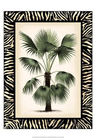 Small Palm in Zebra Border II by Vision Studio art print