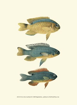 Fish of the Coral Reef II art print