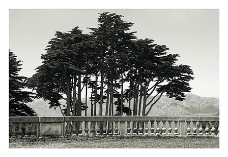 Cypress Trees and Balusters by Christian Peacock art print