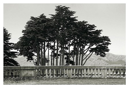 Cypress Trees and Balusters by Christian Peacock art print