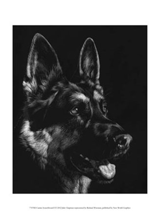 Canine Scratchboard I by Julie Chapman art print