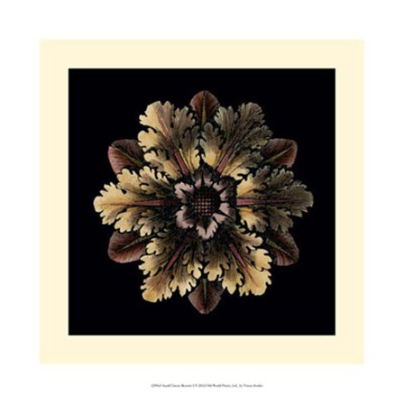 Small Classic Rosette I by Vision Studio art print